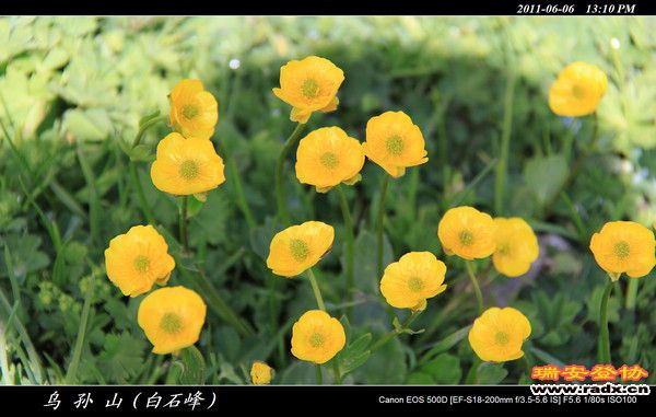 伊犁环线 (360).jpg