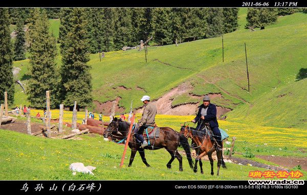 伊犁环线 (368).jpg