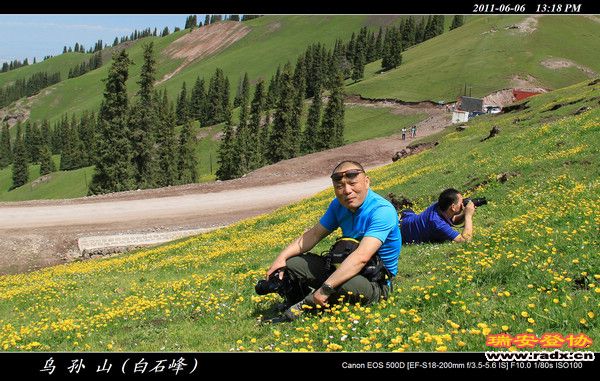 伊犁环线 (369).jpg