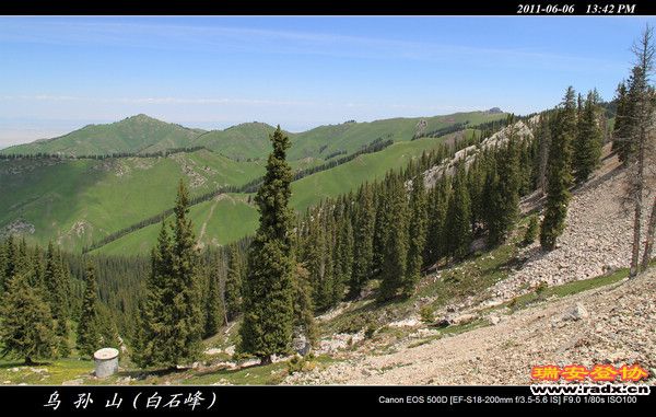 伊犁环线 (386).jpg