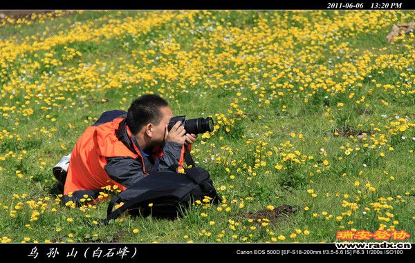 伊犁环线 (371).jpg