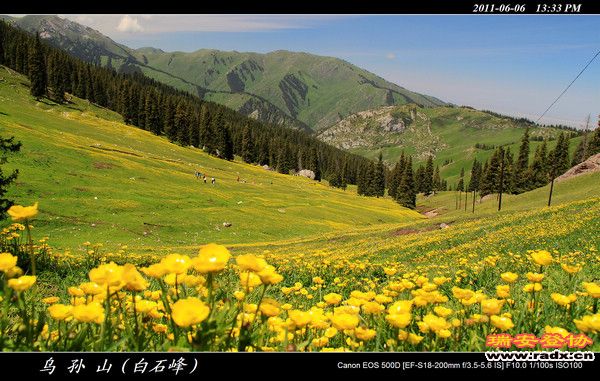 伊犁环线 (381).jpg