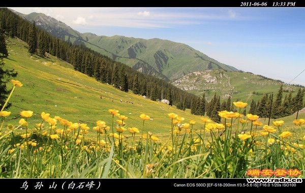 伊犁环线 (382).jpg