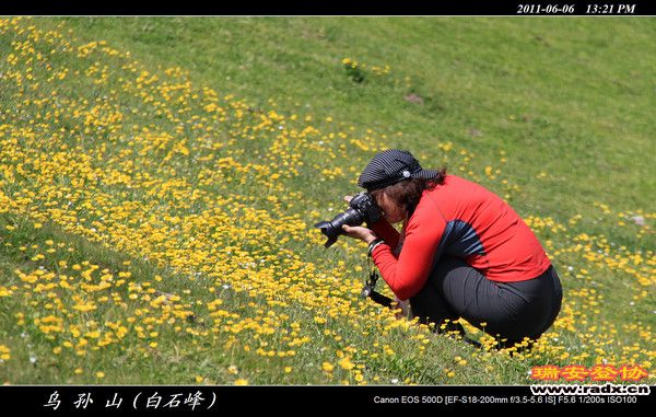 伊犁环线 (374).jpg