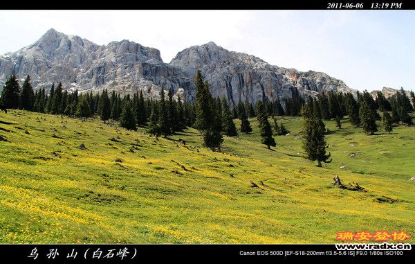 伊犁环线 (370).jpg