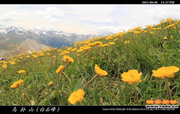 伊犁环线 (424).jpg