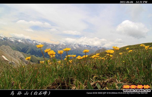 伊犁环线 (419).jpg