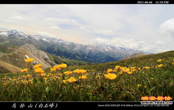 伊犁环线 (418).jpg