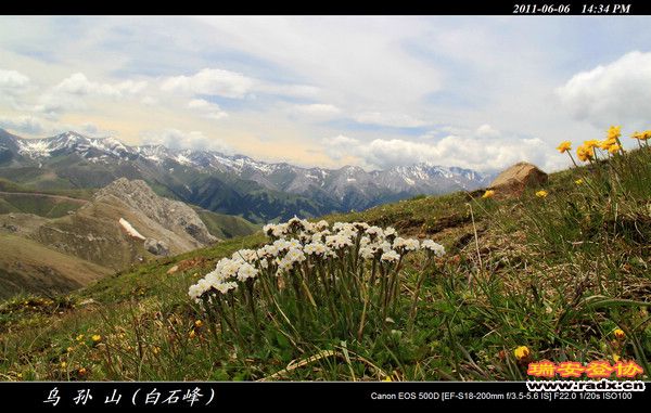 伊犁环线 (422).jpg