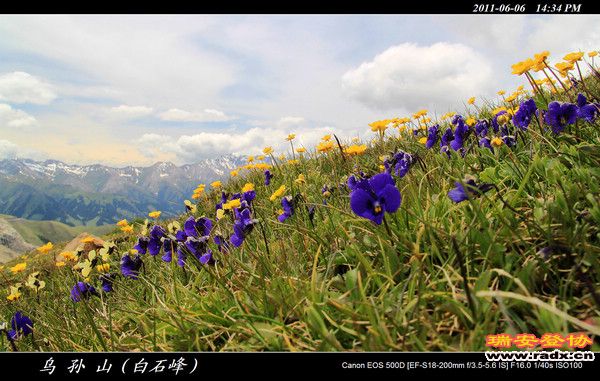 伊犁环线 (423).jpg