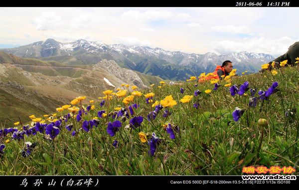 伊犁环线 (420).jpg