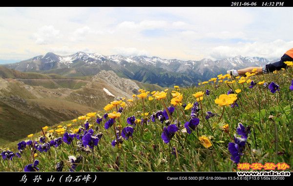 伊犁环线 (421).jpg