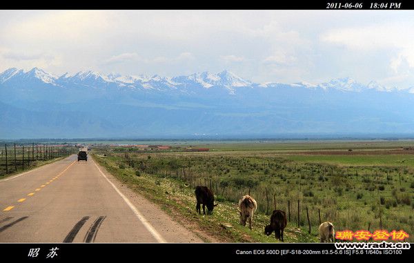 伊犁环线 (437).jpg