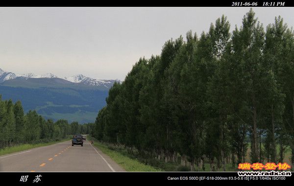 伊犁环线 (440).jpg