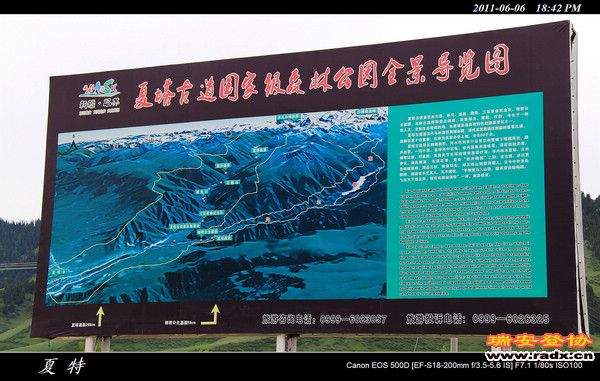 伊犁环线 (443).jpg