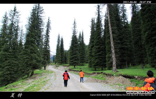 伊犁环线 (455).jpg