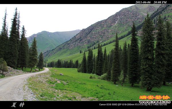 伊犁环线 (456).jpg