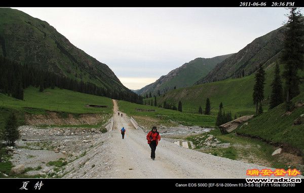 伊犁环线 (470).jpg