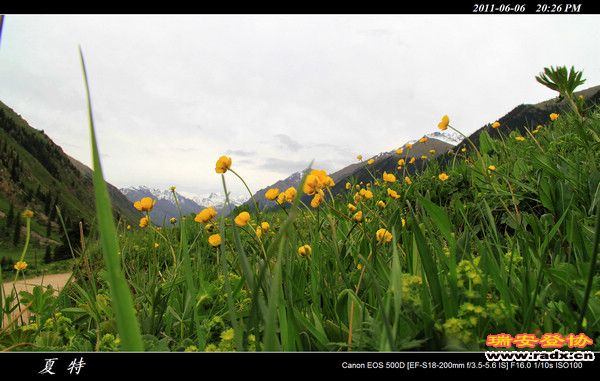 伊犁环线 (465).jpg