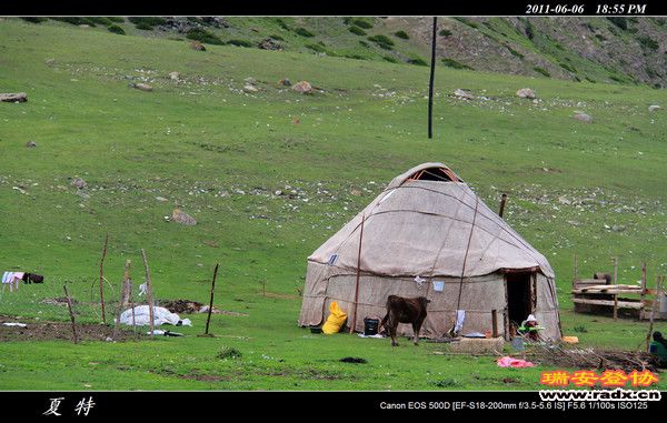 伊犁环线 (448).jpg