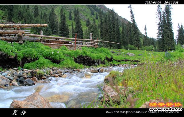 伊犁环线 (462).jpg