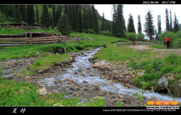 伊犁环线 (464).jpg