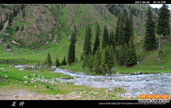 伊犁环线 (469).jpg