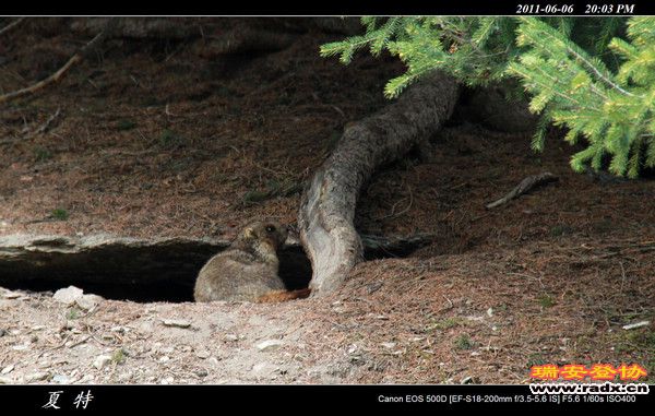 伊犁环线 (453).jpg