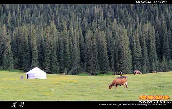 伊犁环线 (476).jpg