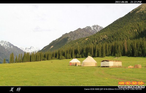 伊犁环线 (475).jpg