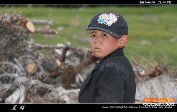 伊犁环线 (480).jpg