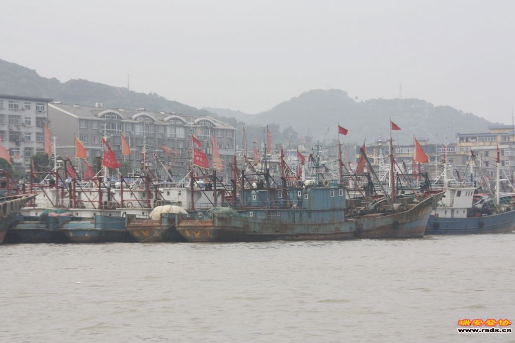 _MG_7493.JPG