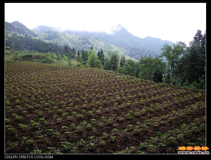 田野是山民守护的家园。