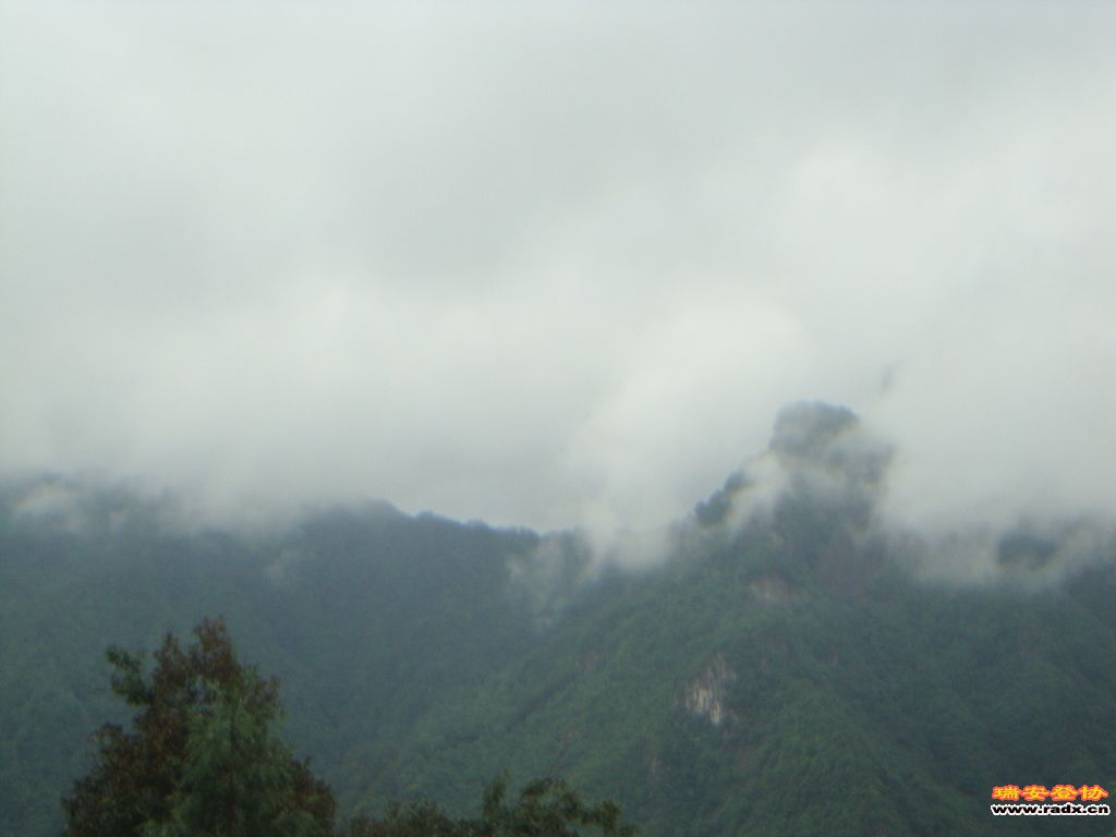DSC03806.JPG