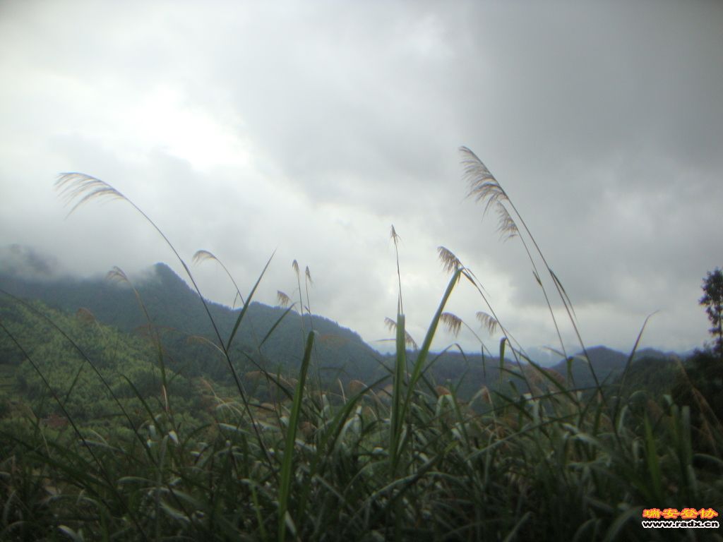 DSC03813.JPG