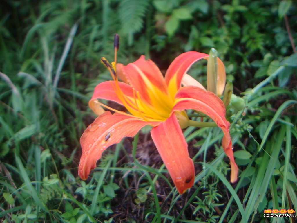 DSC03826.JPG