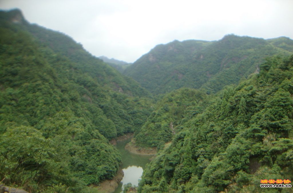 DSC03842.JPG
