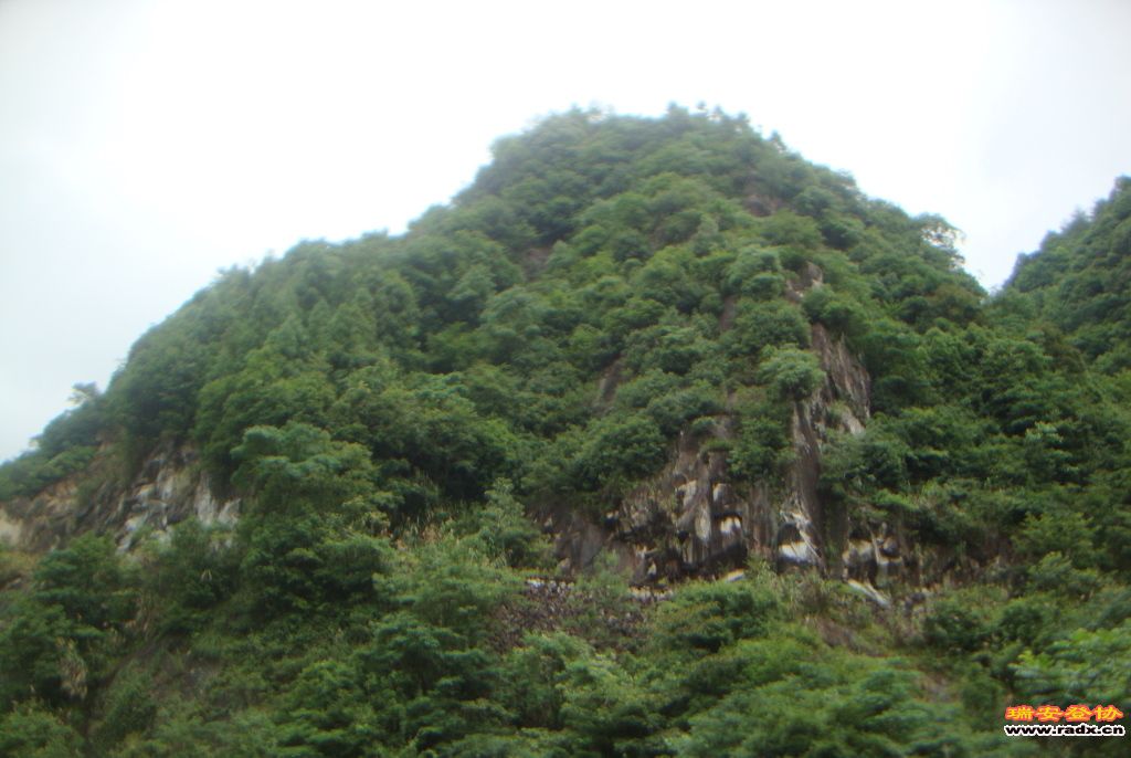 DSC03841.JPG
