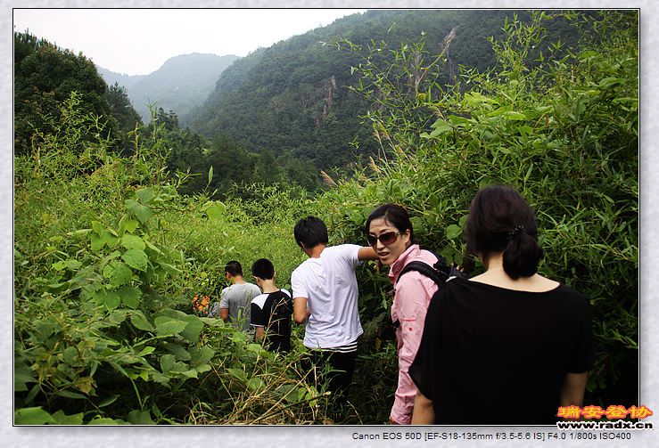 nEO_IMG_百信二手车 106.jpg