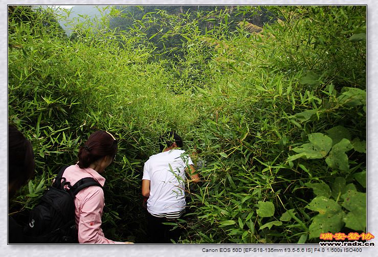 nEO_IMG_百信二手车 107.jpg