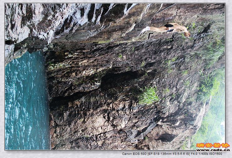 nEO_IMG_百信二手车 157.jpg