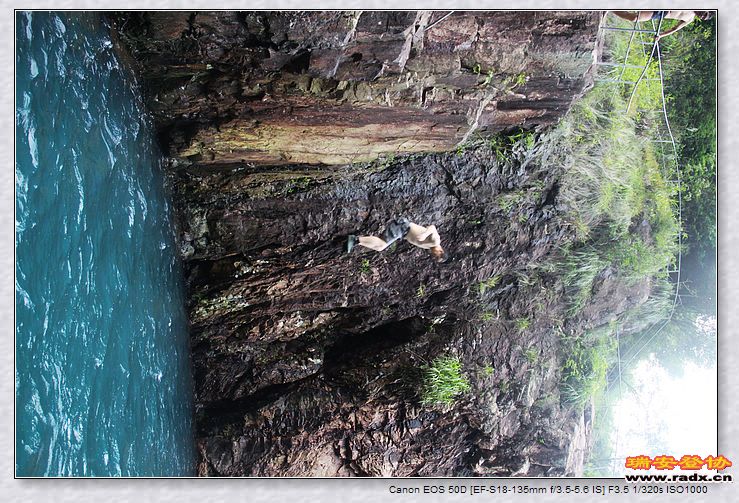 nEO_IMG_百信二手车 293.jpg