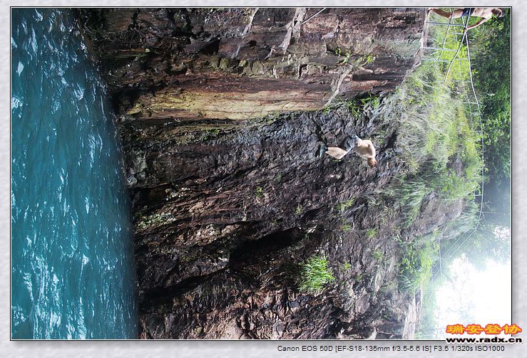 nEO_IMG_百信二手车 292.jpg