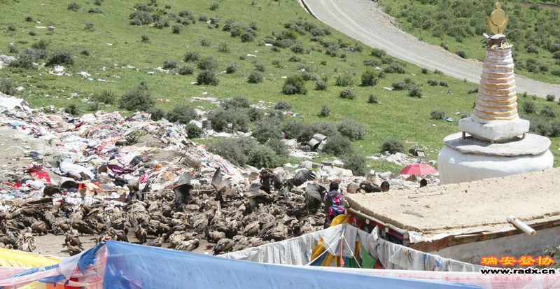 只落得一片大地