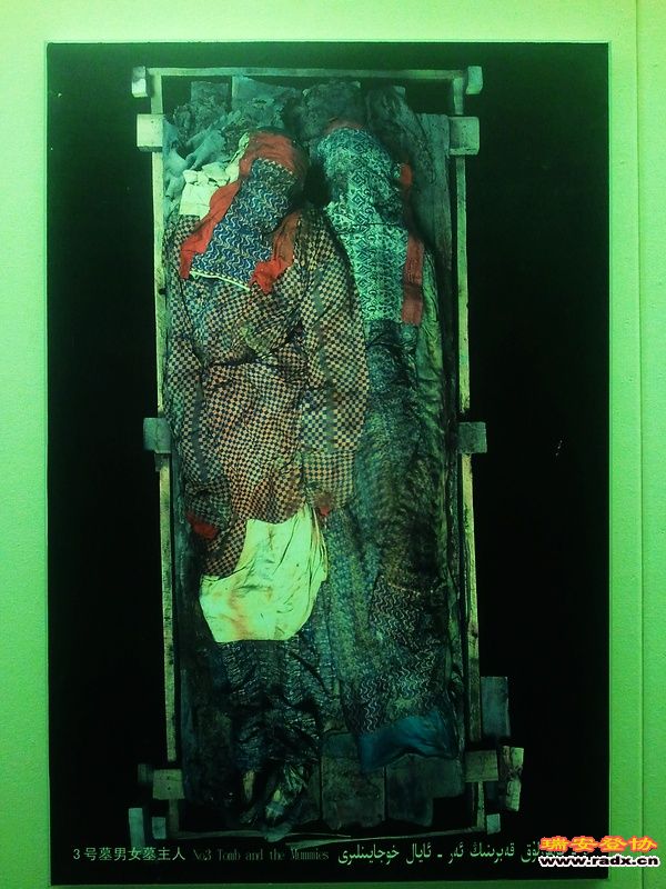 2011-10-04 12.06.02.jpg