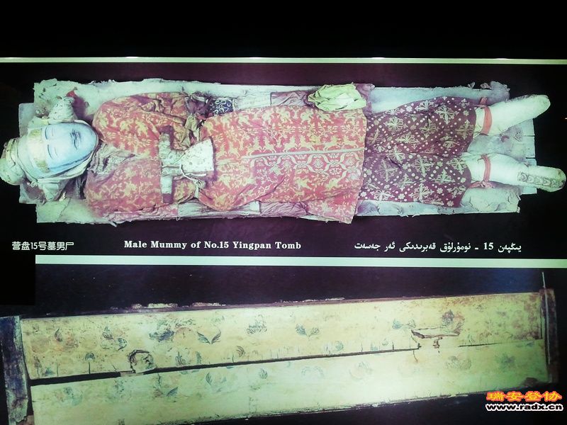 2011-10-04 12.49.49.jpg