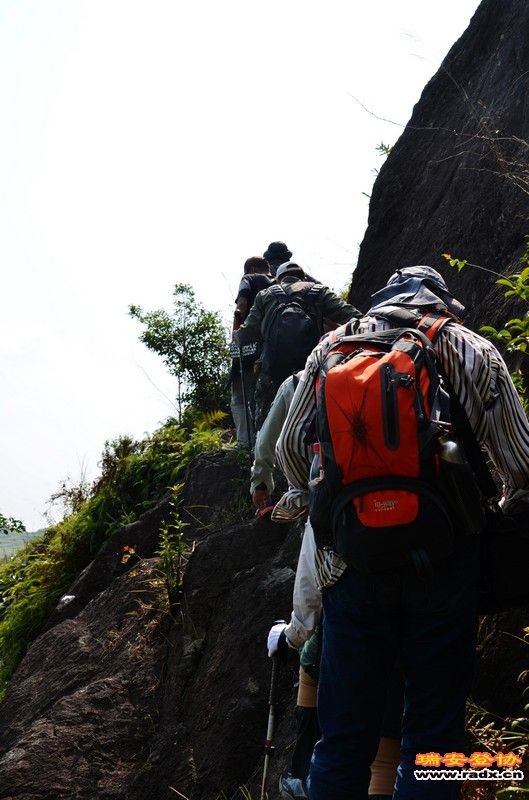 nEO_IMG_平阳秀洋 113.jpg