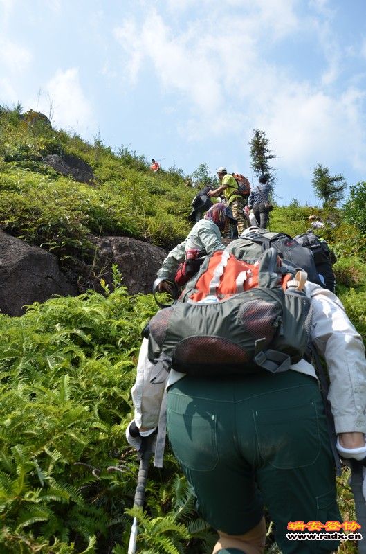 nEO_IMG_平阳秀洋 122.jpg