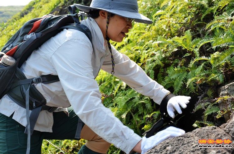 nEO_IMG_平阳秀洋 118.jpg