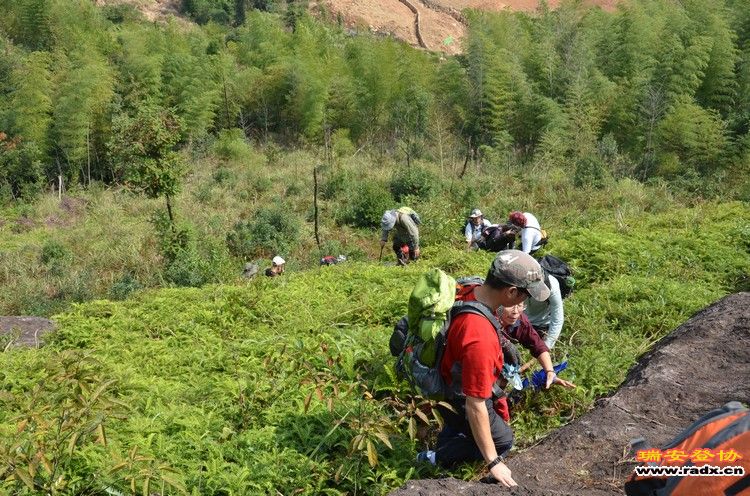 nEO_IMG_平阳秀洋 126.jpg